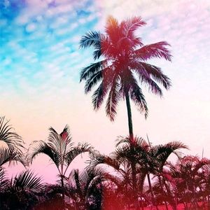 Meet your Posher, Jade